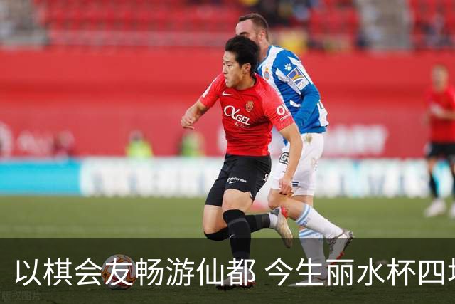 以棋会友畅游仙都 今生丽水杯四地围棋交流活动圆满落幕