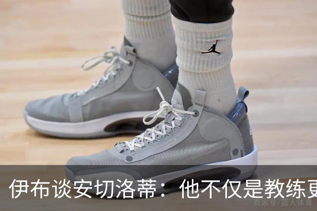 伊布谈安切洛蒂：他不仅是教练更是管理者 执教巴西对他是挑战