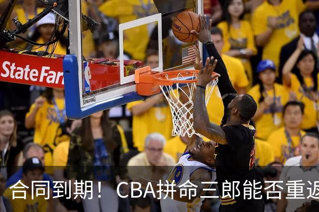 合同到期！CBA拼命三郎能否重返广东？期待辅佐徐杰、胡明轩