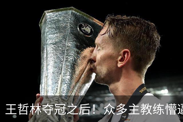 王哲林夺冠之后！众多主教练懵逼，就这个数据跟胡金秋差远了